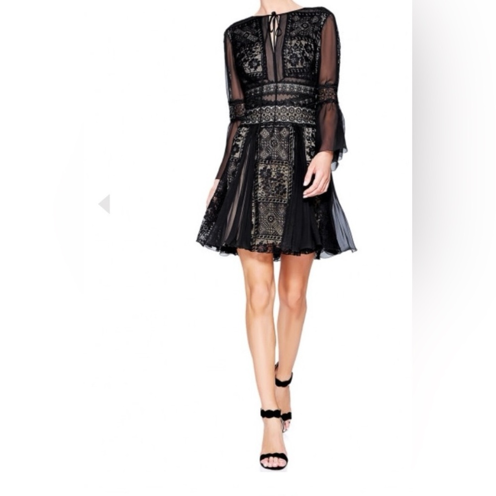 Tadashi Shoji Lace Mini Cocktail Dress - Picture 3 of 7